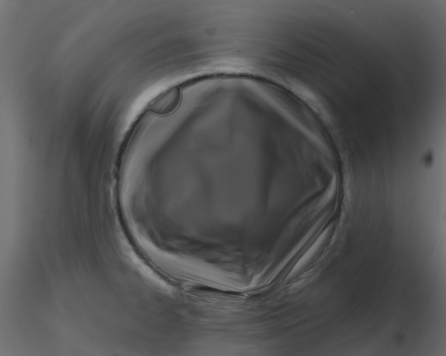 X0000116611334200912312110