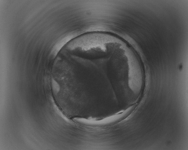 X0000116611337200912312110