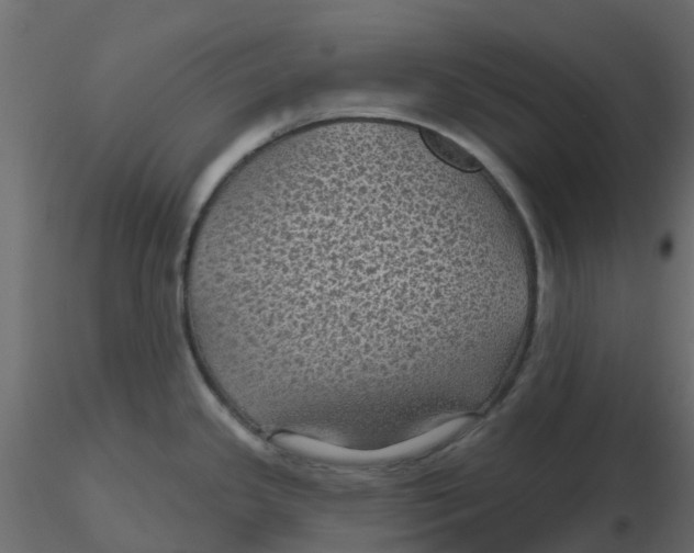 X0000116611341200912312110