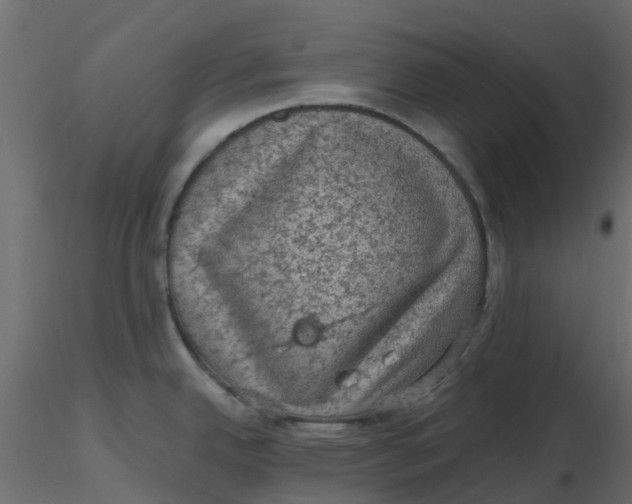 X0000116611342200912312110