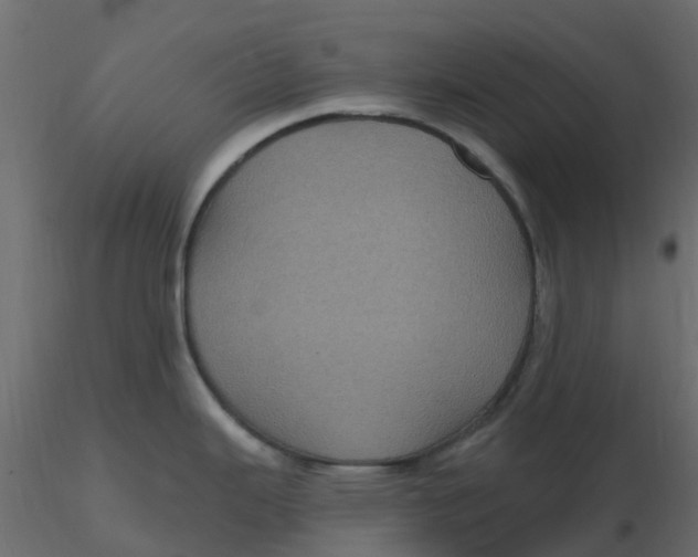 X0000116611343200912312110