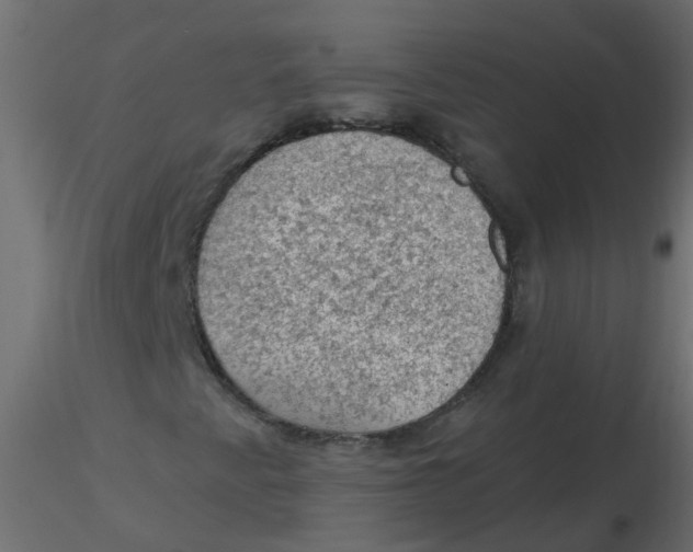 X0000116611345200912312109