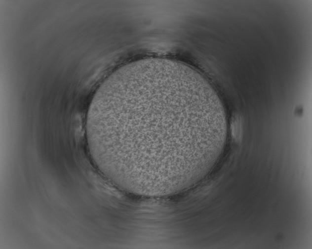 X0000116611347200912312109