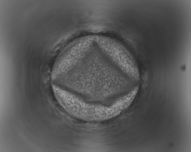 X0000116611349200912312109