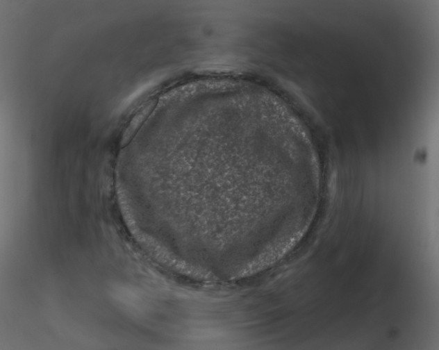 X0000116611350200912312109