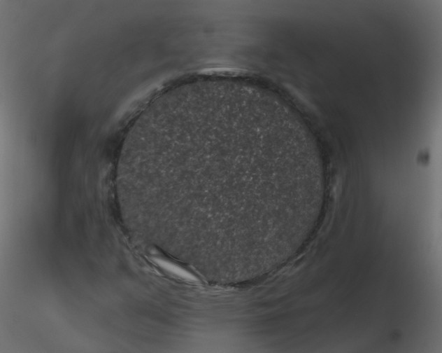 X0000116611351200912312109