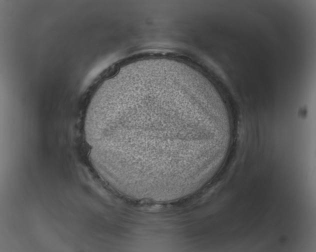 X0000116611352200912312109