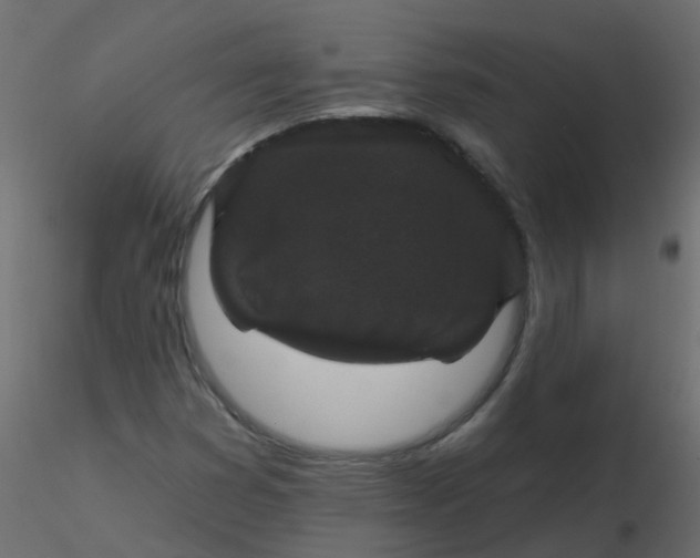 X0000116611353200912312109