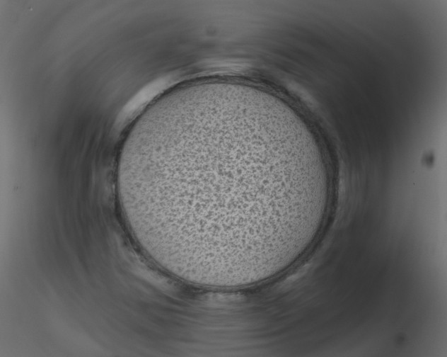 X0000116611354200912312109