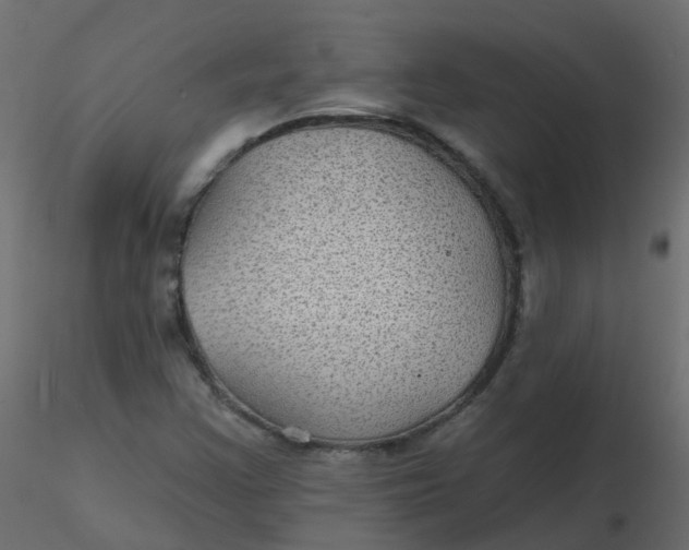 X0000116611355200912312109