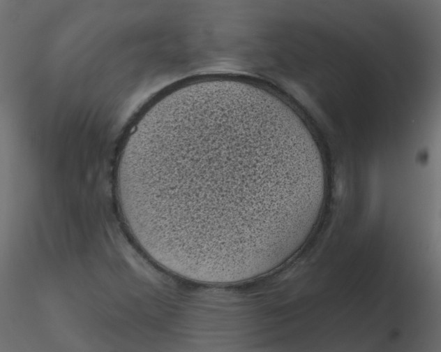 X0000116611356200912312109