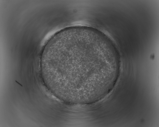 X0000116611358200912312109