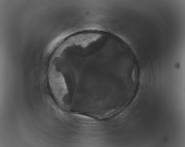 X0000116611359200912312109