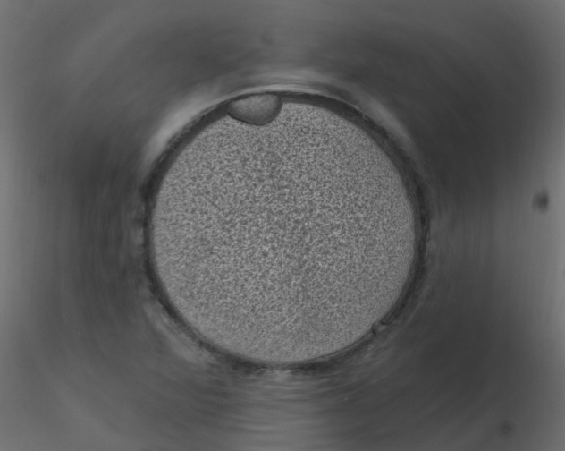 X0000116611360200912312109