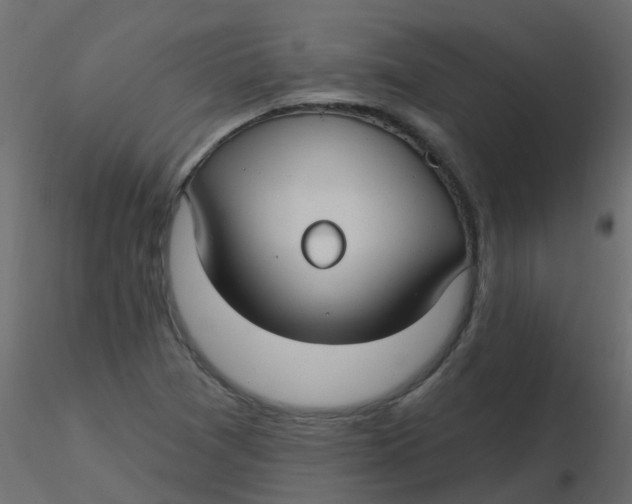 X0000116611361200912312109