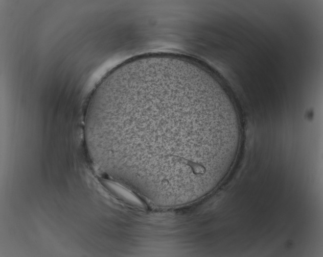 X0000116611363200912312109