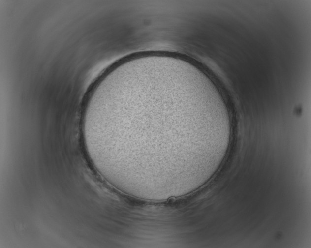 X0000116611364200912312109