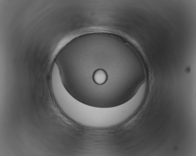 X0000116611365200912312109