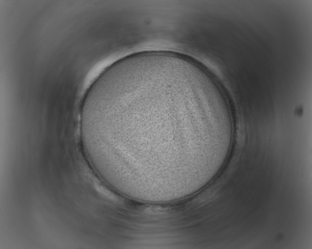 X0000116611366200912312109