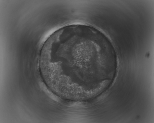 X0000116611367200912312109