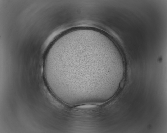 X0000116611368200912312109