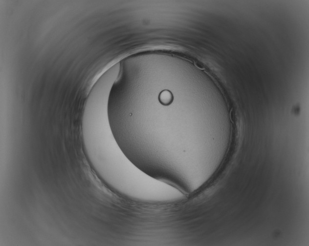 X0000116611369200912312109