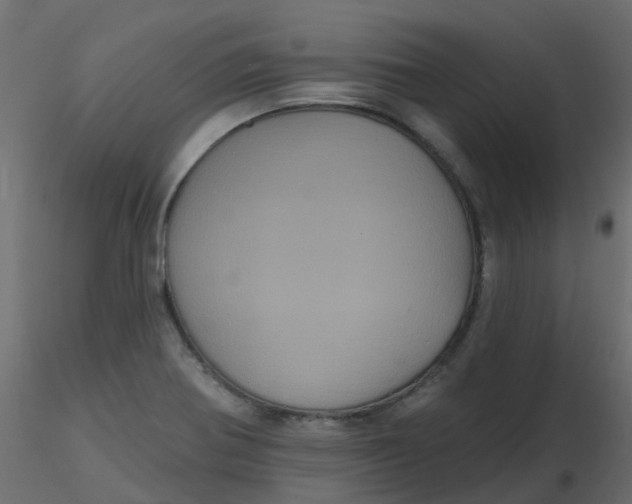 X0000116611370200912312109