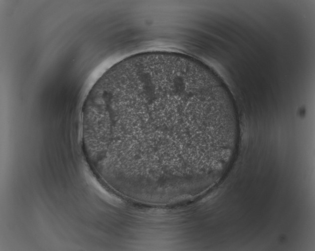 X0000116611371200912312109