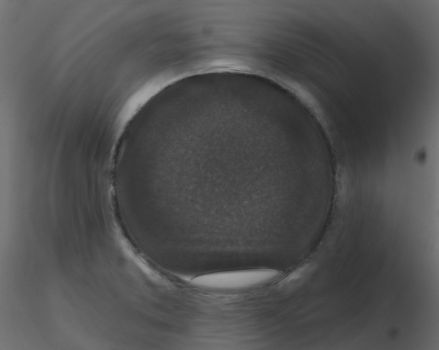 X0000116611373200912312109