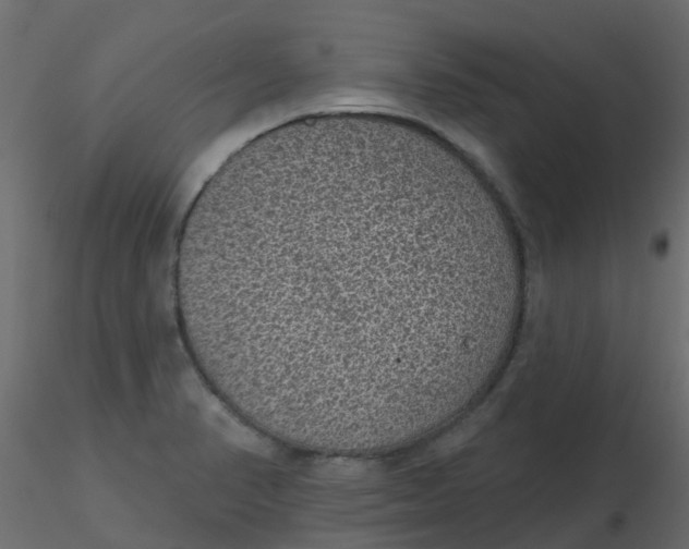 X0000116611374200912312109