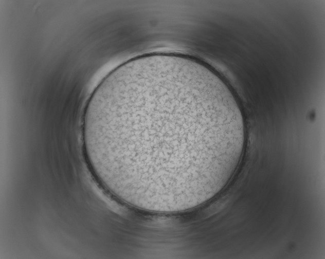 X0000116611375200912312109