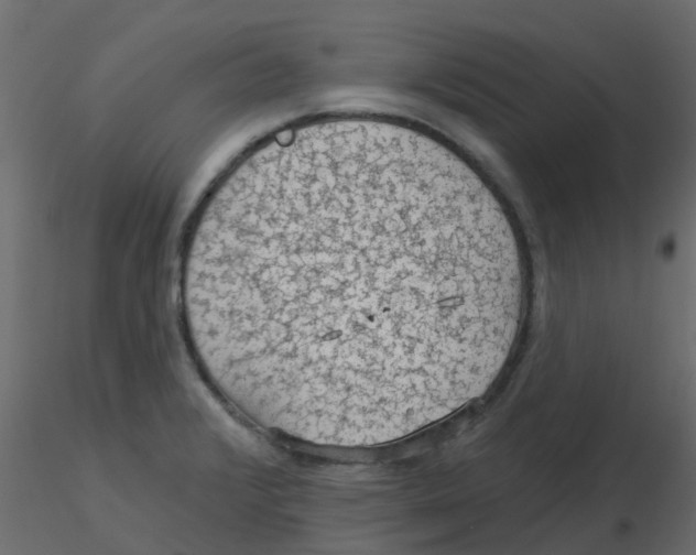 X0000116611376200912312109