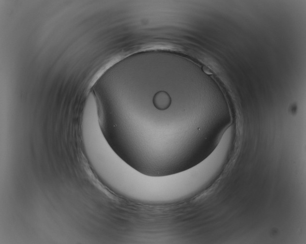 X0000116611377200912312109