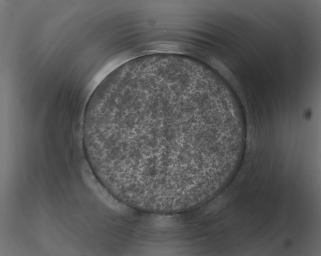 X0000116611378200912312109