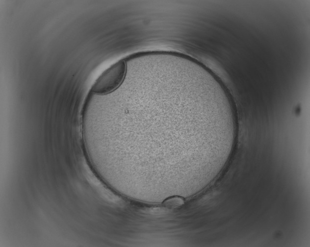 X0000116611380200912312109