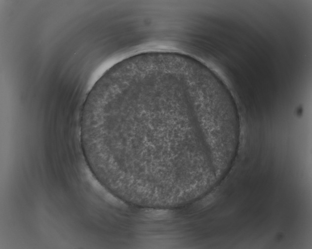 X0000116611382200912312109