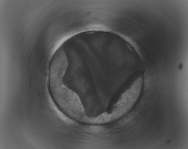 X0000116611383200912312109