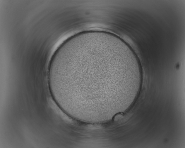 X0000116611384200912312109