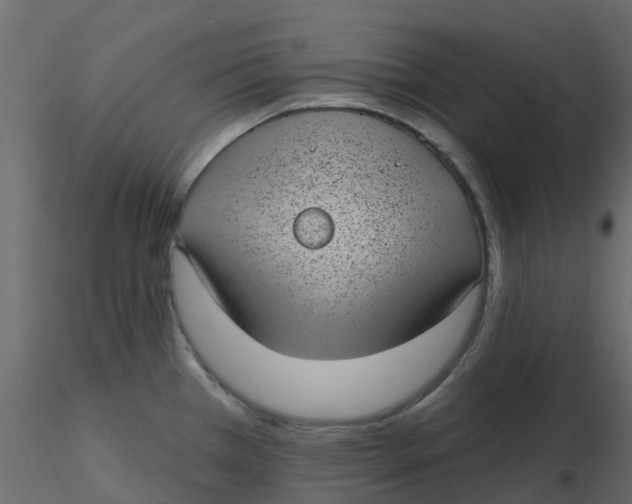 X0000116611385200912312109