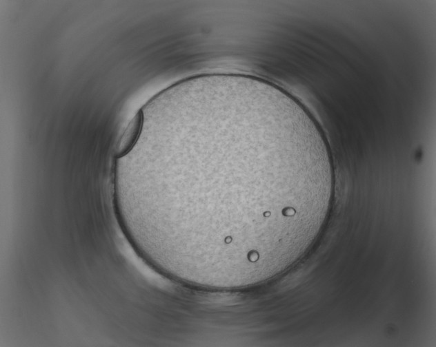 X0000116611387200912312109