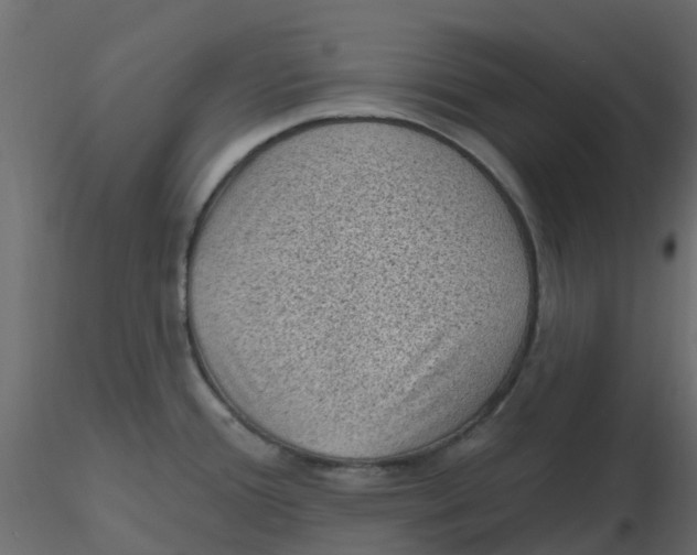 X0000116611388200912312109