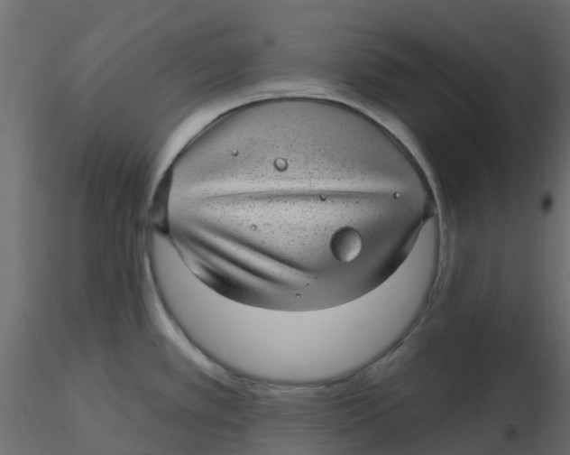 X0000116611389200912312109