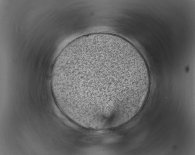 X0000116611390200912312109