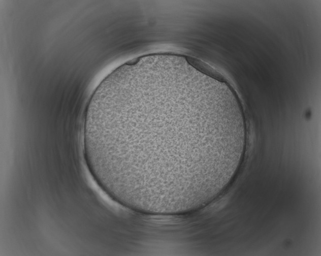 X0000116611391200912312109