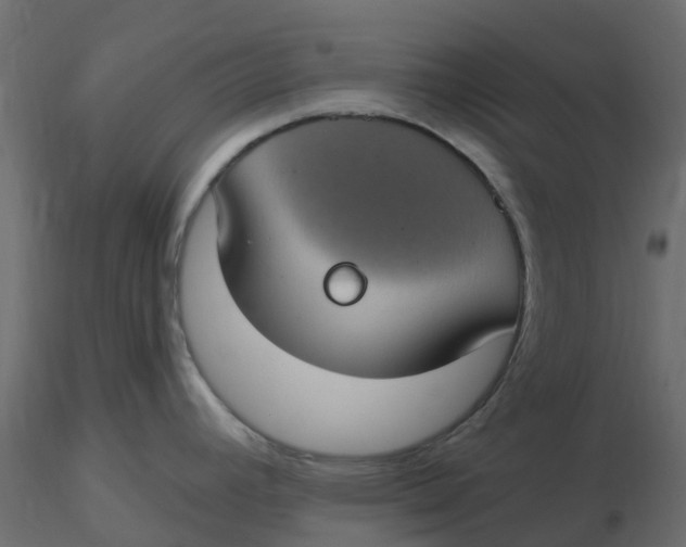 X0000116611392200912312109