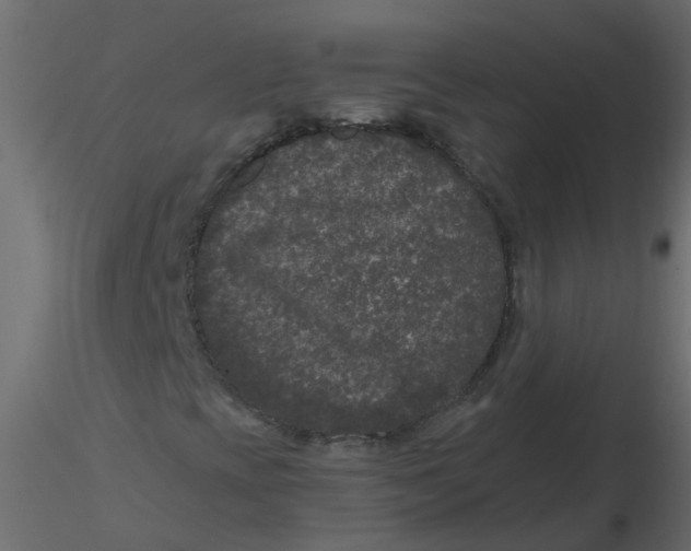 X0000116611393200912312108