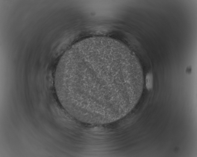 X0000116611395200912312108