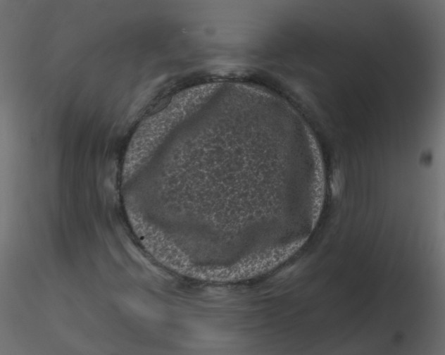 X0000116611396200912312108