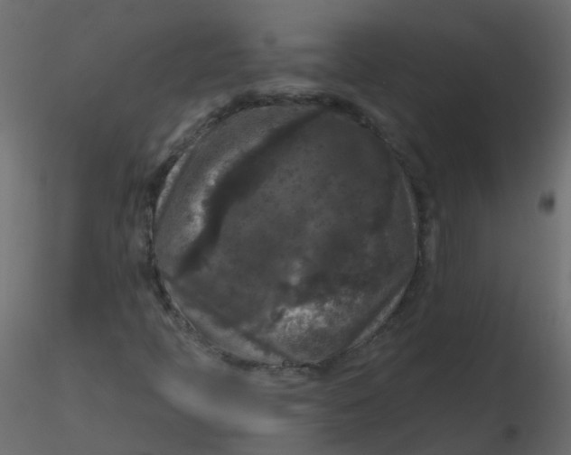 X0000116611397200912312108