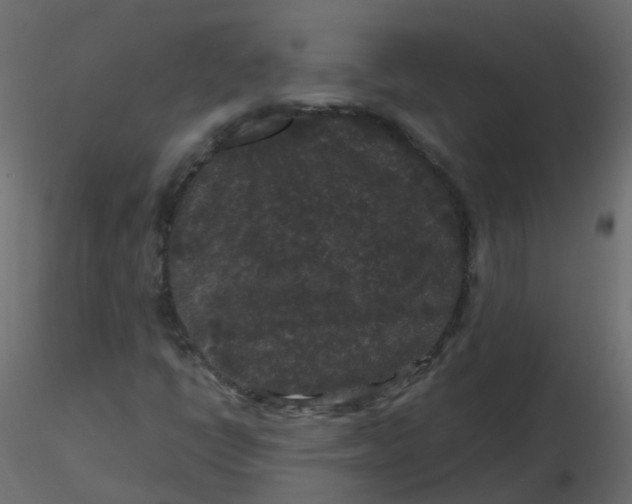 X0000116611398200912312108